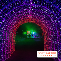 Lumières en Seine 2025, les photos du parcours de lumières - A7C00472