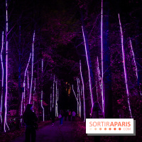 Lumières en Seine 2025, les photos du parcours de lumières - A7C00577