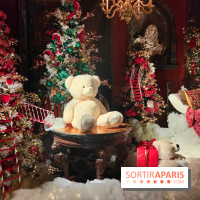 Le Grand Noël 2025 du château de Vaux-le-Vicomte : des décorations magiques pour une balade hivernale mémorable - fotor 1763143980196