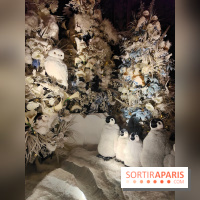 Le Grand Noël 2025 du château de Vaux-le-Vicomte : des décorations magiques pour une balade hivernale mémorable - fotor 1763143898130