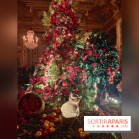 Le Grand Noël 2025 du château de Vaux-le-Vicomte : des décorations magiques pour une balade hivernale mémorable