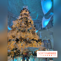 Le Grand Noël 2025 du château de Vaux-le-Vicomte : des décorations magiques pour une balade hivernale mémorable - fotor 1763143654287