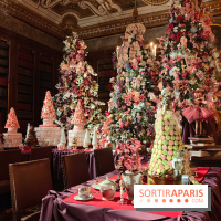 Le Grand Noël 2025 du château de Vaux-le-Vicomte : des décorations magiques pour une balade hivernale mémorable - fotor 1763143628524