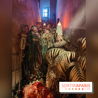 Le Grand Noël 2025 du château de Vaux-le-Vicomte : des décorations magiques pour une balade hivernale mémorable - fotor 1763143453301