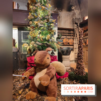 Le Grand Noël 2025 du château de Vaux-le-Vicomte : des décorations magiques pour une balade hivernale mémorable - fotor 1763143422476