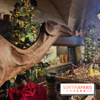 Le Grand Noël 2025 du château de Vaux-le-Vicomte : des décorations magiques pour une balade hivernale mémorable - fotor 1763143407321