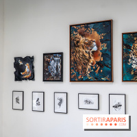 Le Festival Street-art de la Poste du Louvre 2025, les photos