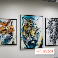 Le Festival Street-art de la Poste du Louvre 2025, les photos - A7C00826