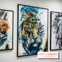 Le Festival Street-art de la Poste du Louvre 2025, les photos