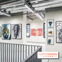 Le Festival Street-art de la Poste du Louvre 2025, les photos