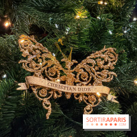 Noël 2025 Dior 30 Montaigne - IMG 1972