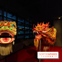 Dragons : l'exposition entre art et légendes se dévoile au musée du Quai Branly