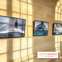 Les Peintres de la Marine : l’exposition dédiée à l’univers maritime à l’Espace Richaud à Versailles - IMG 1862
