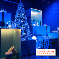 Inauguration des vitrines de Noël du BHV Marais à Paris 2025 avec Vincent Niclo et Vitaa - photos - A7C01503