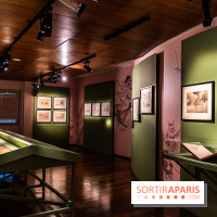 Exposition Manga au Musée Guimet, les photos