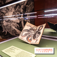 Exposition Manga au Musée Guimet, les photos