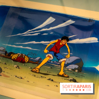 Exposition Manga au Musée Guimet, les photos