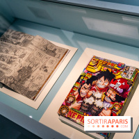 Exposition Manga au Musée Guimet, les photos