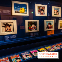 Exposition Manga au Musée Guimet, les photos
