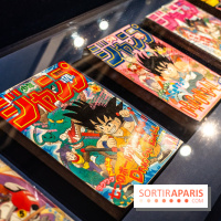 Exposition Manga au Musée Guimet, les photos