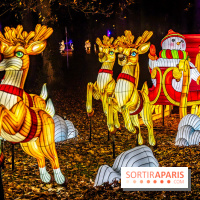 L'Odyssée Lumineuse au Parc Floral 2025, les photos