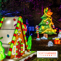 L'Odyssée Lumineuse au Parc Floral 2025, les photos