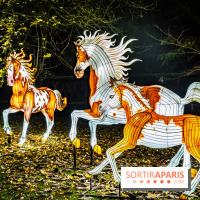 L'Odyssée Lumineuse au Parc Floral 2025, les photos