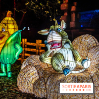 L'Odyssée Lumineuse au Parc Floral 2025, les photos