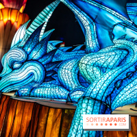 L'Odyssée Lumineuse au Parc Floral 2025, les photos - A7C01797