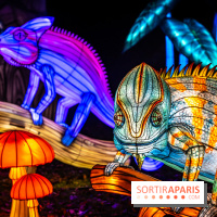 L'Odyssée Lumineuse au Parc Floral 2025, les photos
