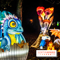 L'Odyssée Lumineuse au Parc Floral 2025, les photos