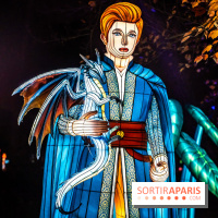 L'Odyssée Lumineuse au Parc Floral 2025, les photos - A7C01792