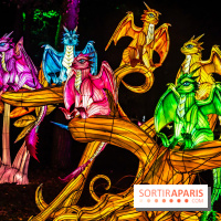 L'Odyssée Lumineuse au Parc Floral 2025, les photos