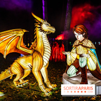 L'Odyssée Lumineuse au Parc Floral 2025, les photos - A7C01791