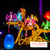 L'Odyssée Lumineuse au Parc Floral 2025, les photos