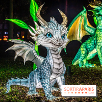 L'Odyssée Lumineuse au Parc Floral 2025, les photos - A7C01785