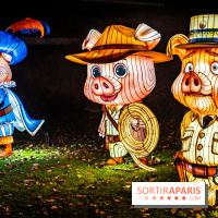 L'Odyssée Lumineuse au Parc Floral 2025, les photos