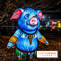 L'Odyssée Lumineuse au Parc Floral 2025, les photos