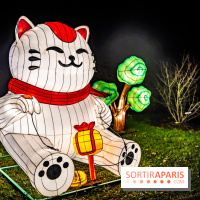 L'Odyssée Lumineuse au Parc Floral 2025, les photos - A7C01765