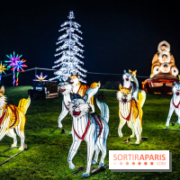 L'Odyssée Lumineuse au Parc Floral 2025, les photos