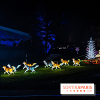 L'Odyssée Lumineuse au Parc Floral 2025, les photos