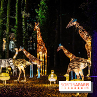 L'Odyssée Lumineuse au Parc Floral 2025, les photos