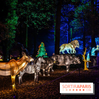 L'Odyssée Lumineuse au Parc Floral 2025, les photos