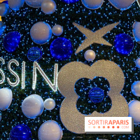 Le sapin de Noël 2025 de Beaugrenelle, co-signé par une Maison de Haute Joaillerie française - IMG 1120