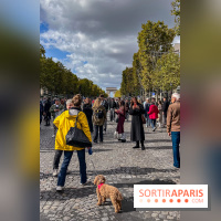 La Marche des animaux à Paris : défilé gratuit, ouvert aux chiens, chats ... sur les Champs-Élysées - IMG 5258
