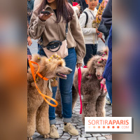 La Marche des animaux à Paris : défilé gratuit, ouvert aux chiens, chats ... sur les Champs-Élysées - IMG 5289