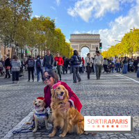 La Marche des animaux à Paris : défilé gratuit, ouvert aux chiens, chats ... sur les Champs-Élysées - IMG 5571