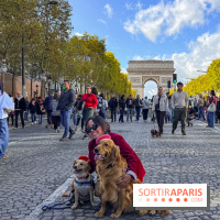 La Marche des animaux à Paris : défilé gratuit, ouvert aux chiens, chats ... sur les Champs-Élysées - IMG 5575