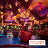 Raiponce Tangled Spin  - IMG 2184