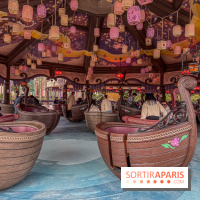 Raiponce Tangled Spin  - IMG 4606